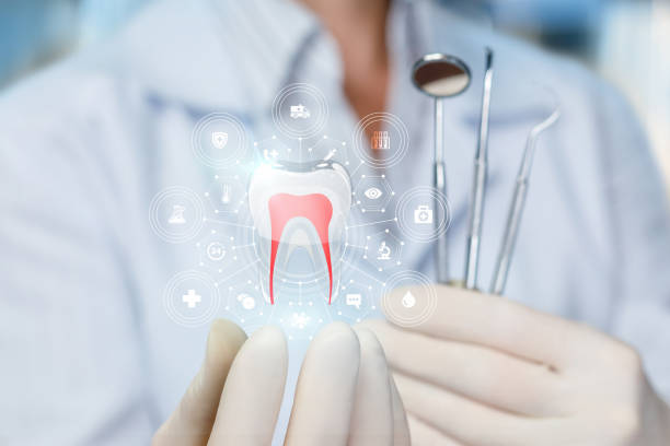 Best Dental Bonding  in Arbutus, MD